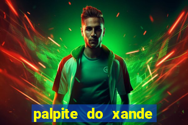 palpite do xande de hoje